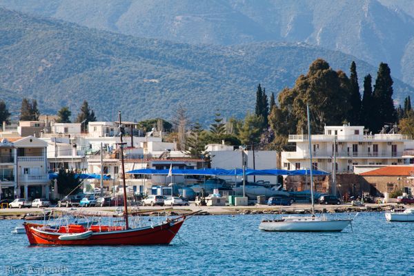 Poro Bay photo 2
