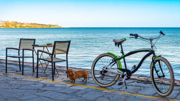 Vélo photo 4