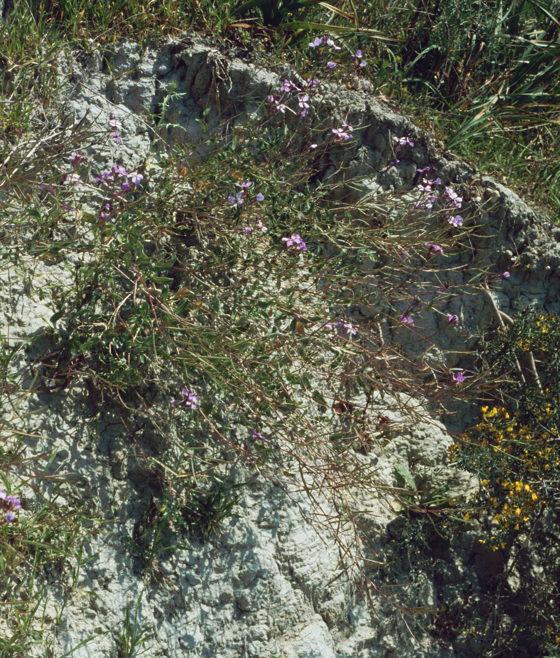 Vouní, South Aegean