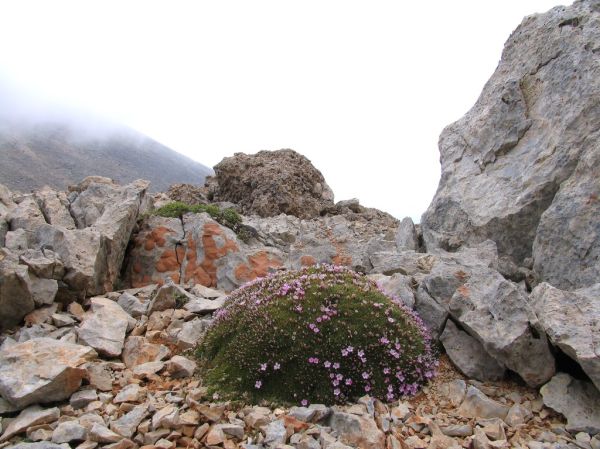 Mesa Soros, Crete