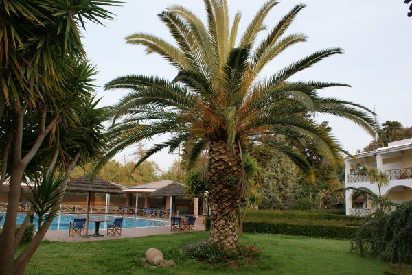 Bay of Corinth photo 3