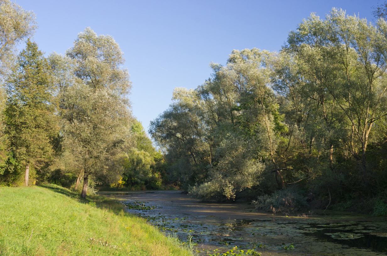 Odra photo 2