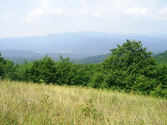 Veliki Drgomalj, Primorje-Gorski Kotar