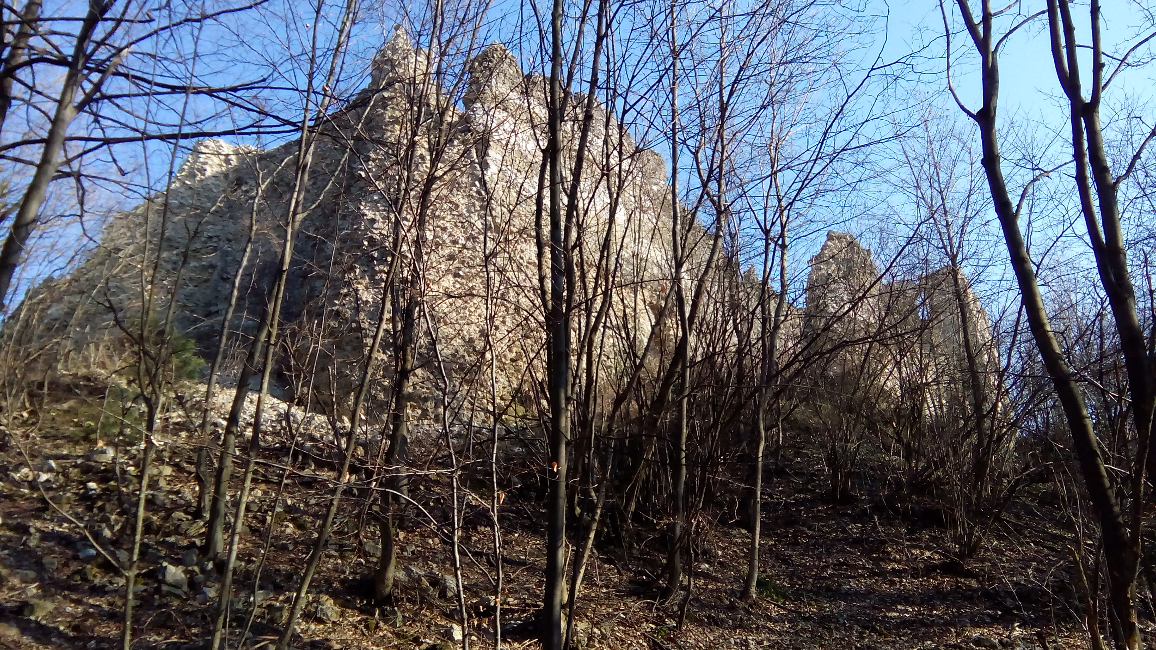 Orahovica photo 2