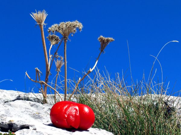 Šatorina photo 2