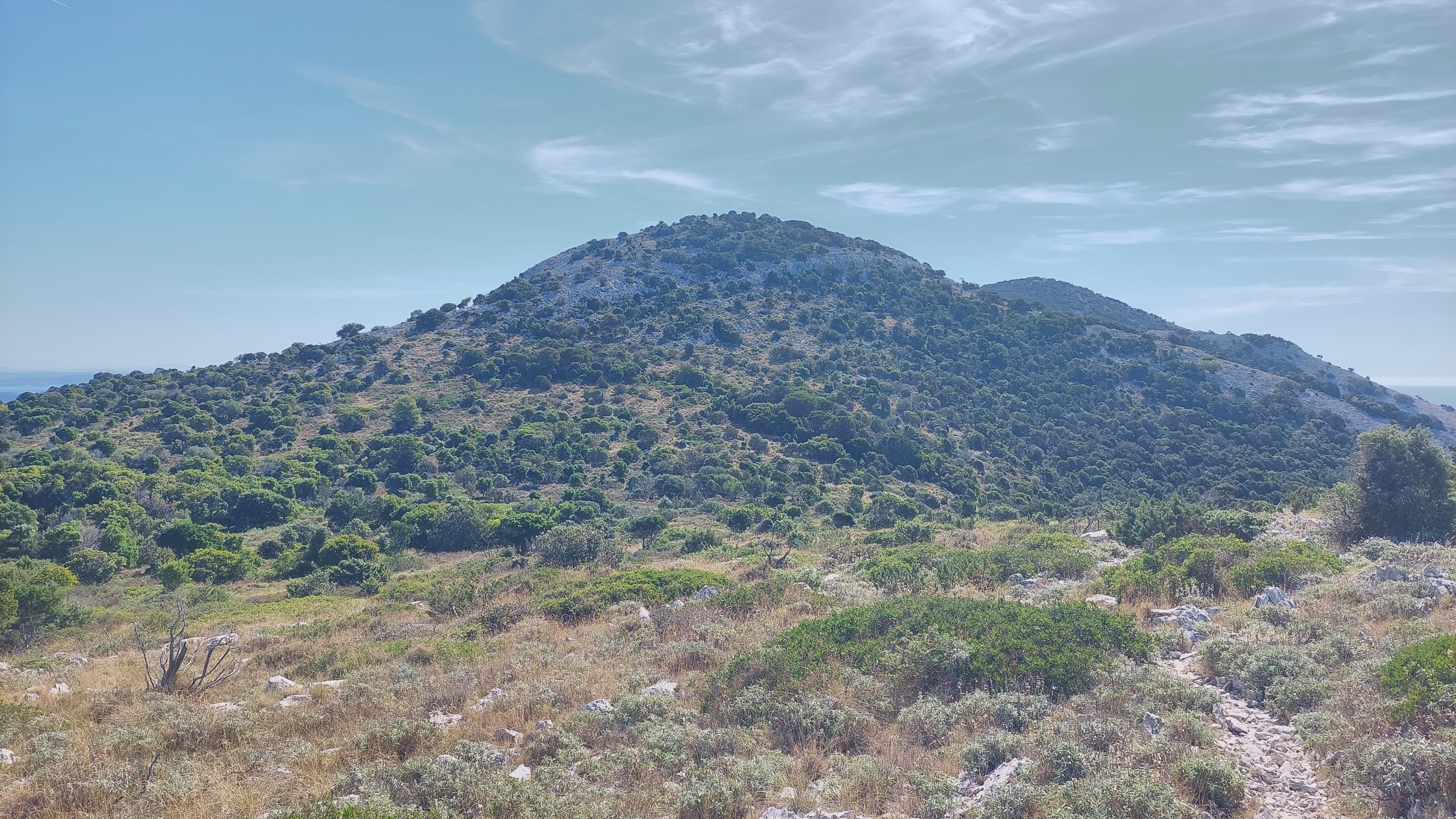 Orljak, Istria