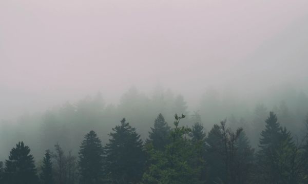 Tuhobić photo 2