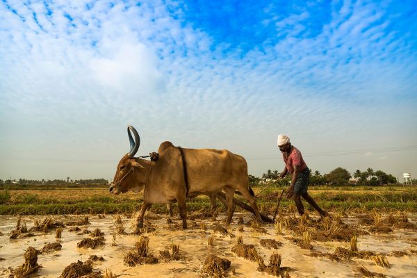 Tiruvallur, Tamil Nadu