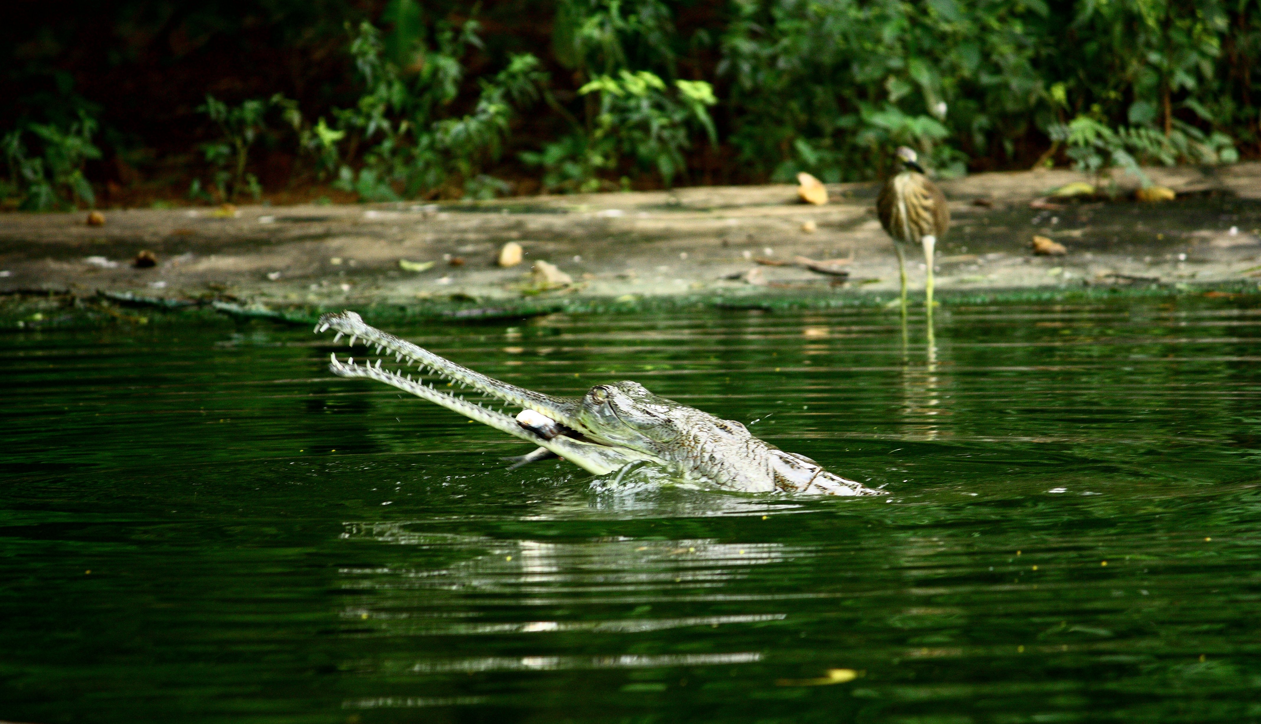 Visakhapatnam photo 2