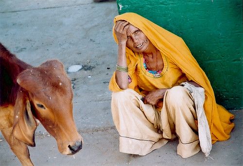 Sojat, Rajasthan