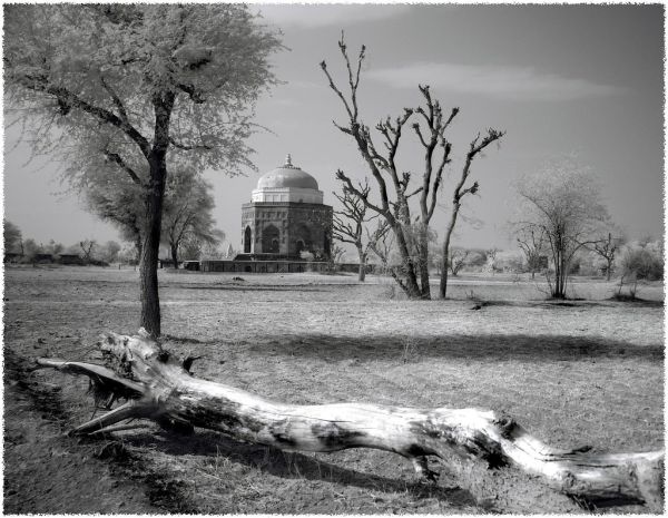 Narnaul, Haryana