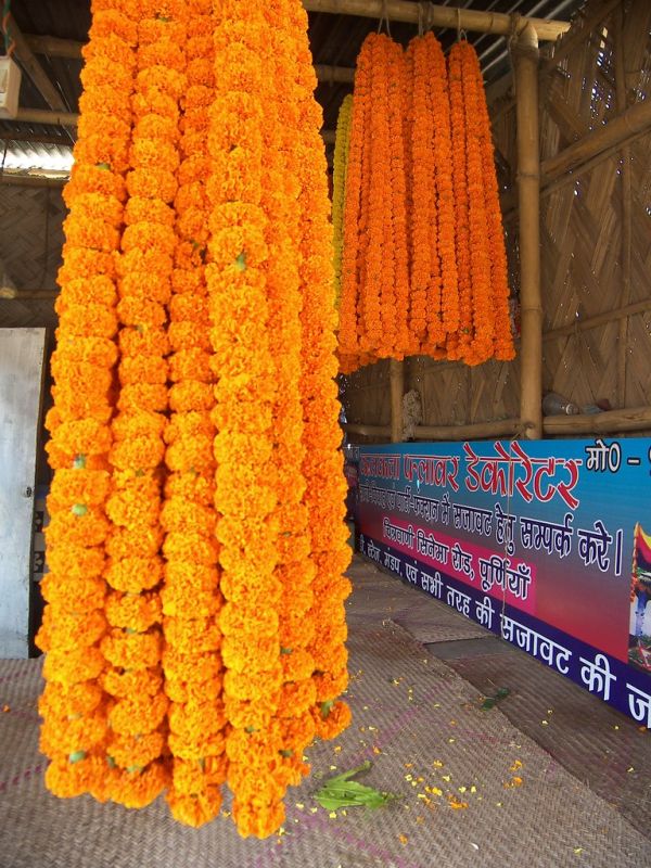 Purnia, Bihar