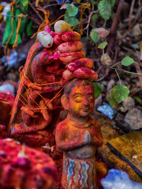Sankarankovil, Tamil Nadu