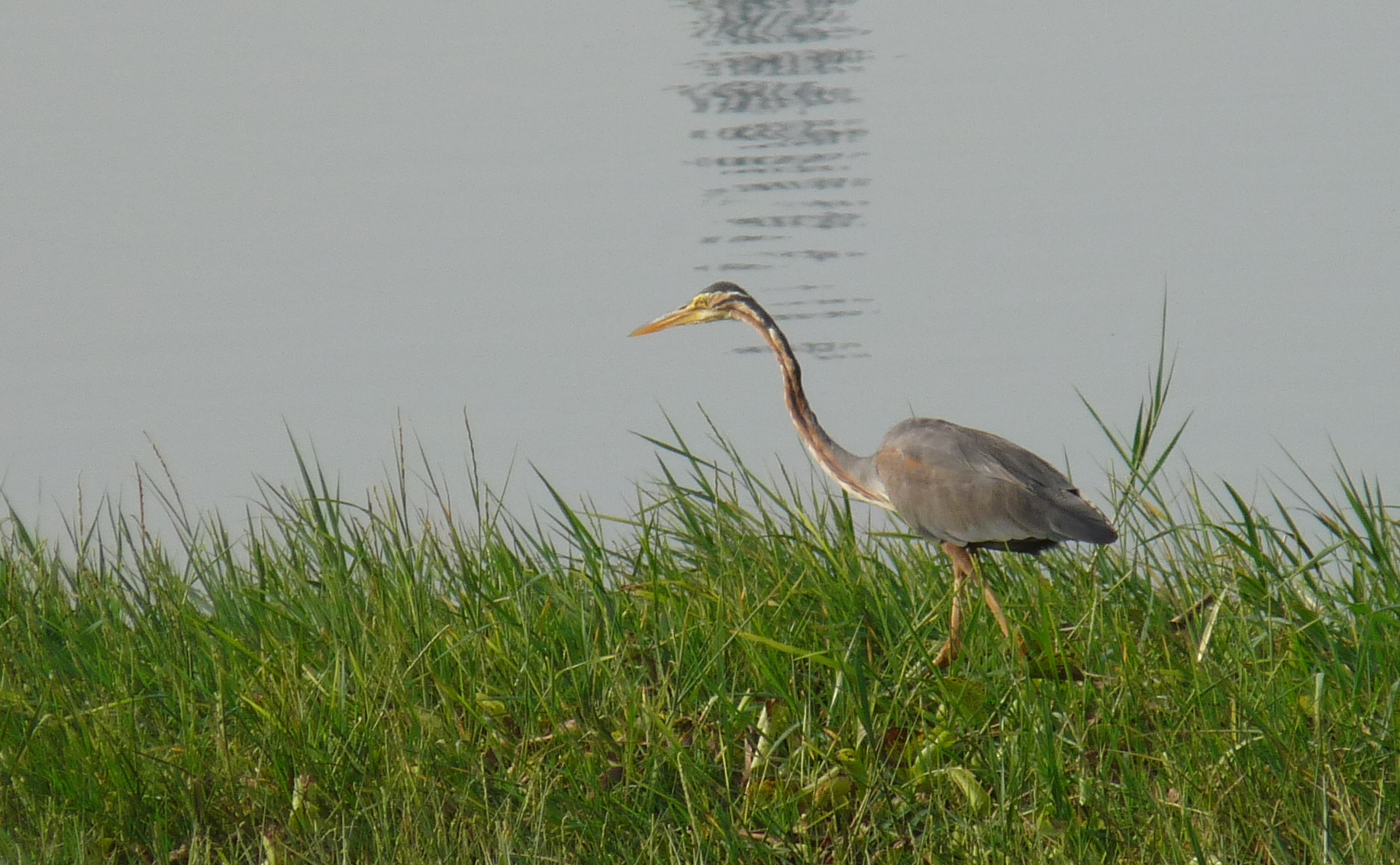 Sulur, Tamil Nadu