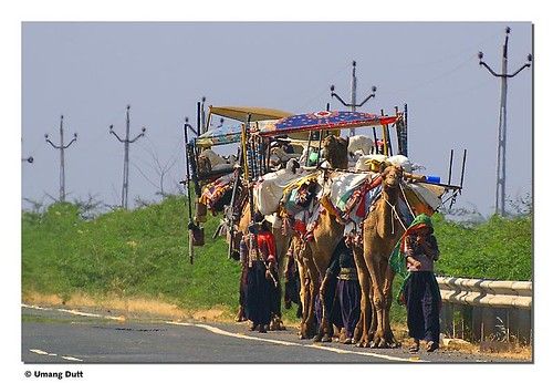 Surendranagar, Gujarat