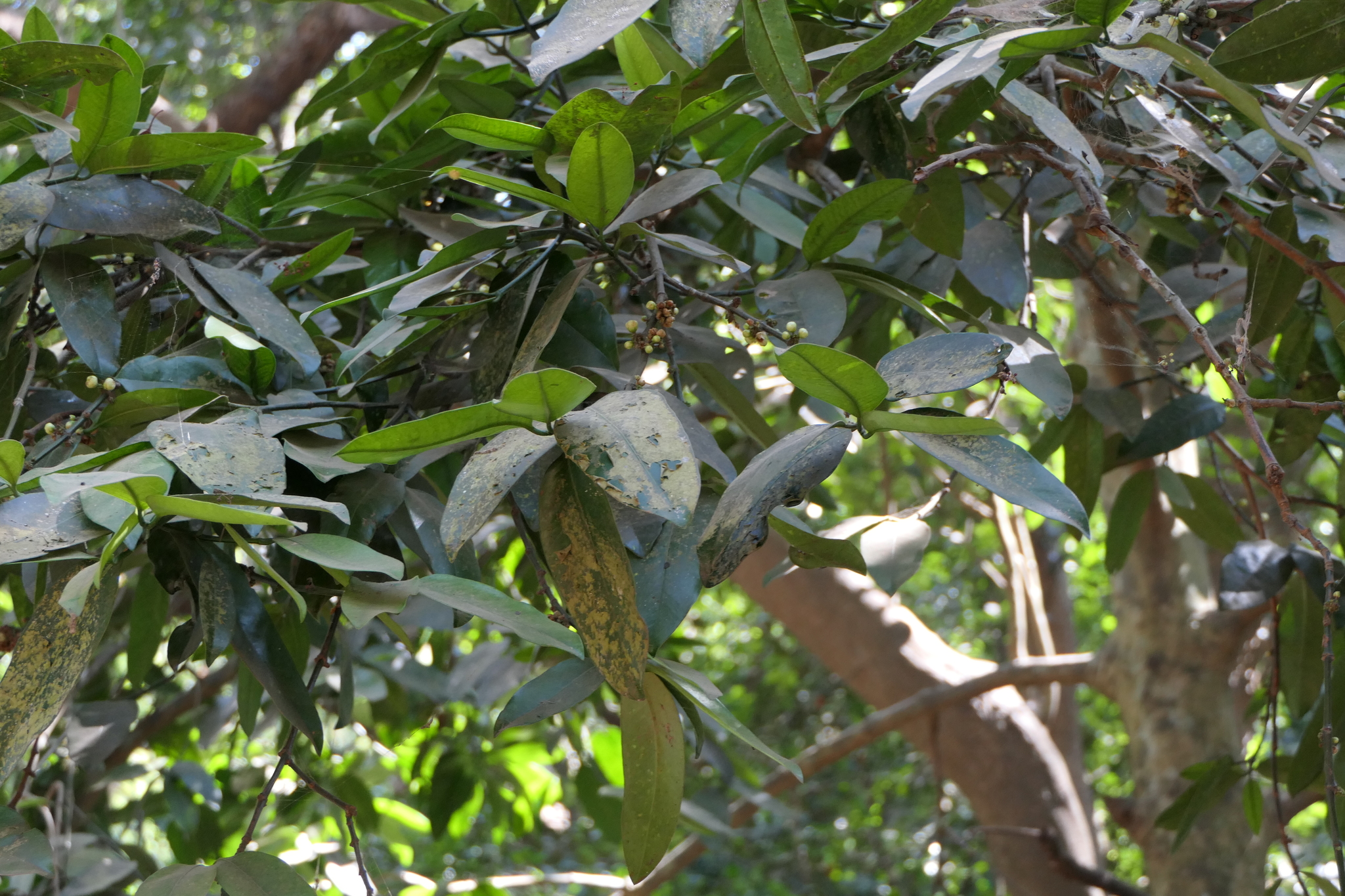 Mātherān, Maharashtra