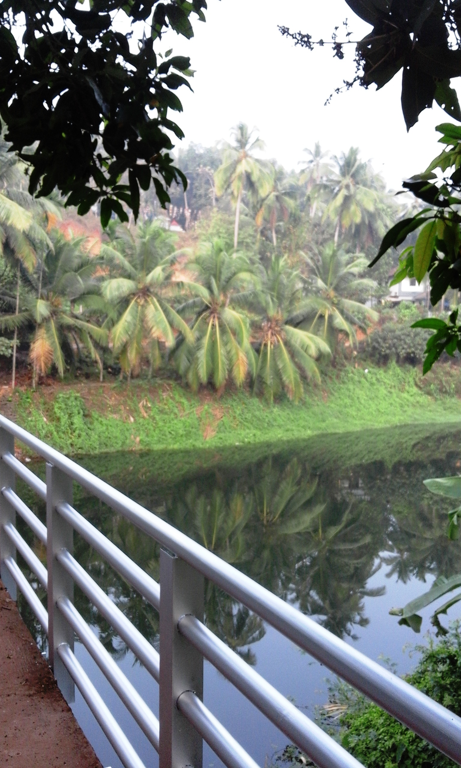 Mavoor, Kerala