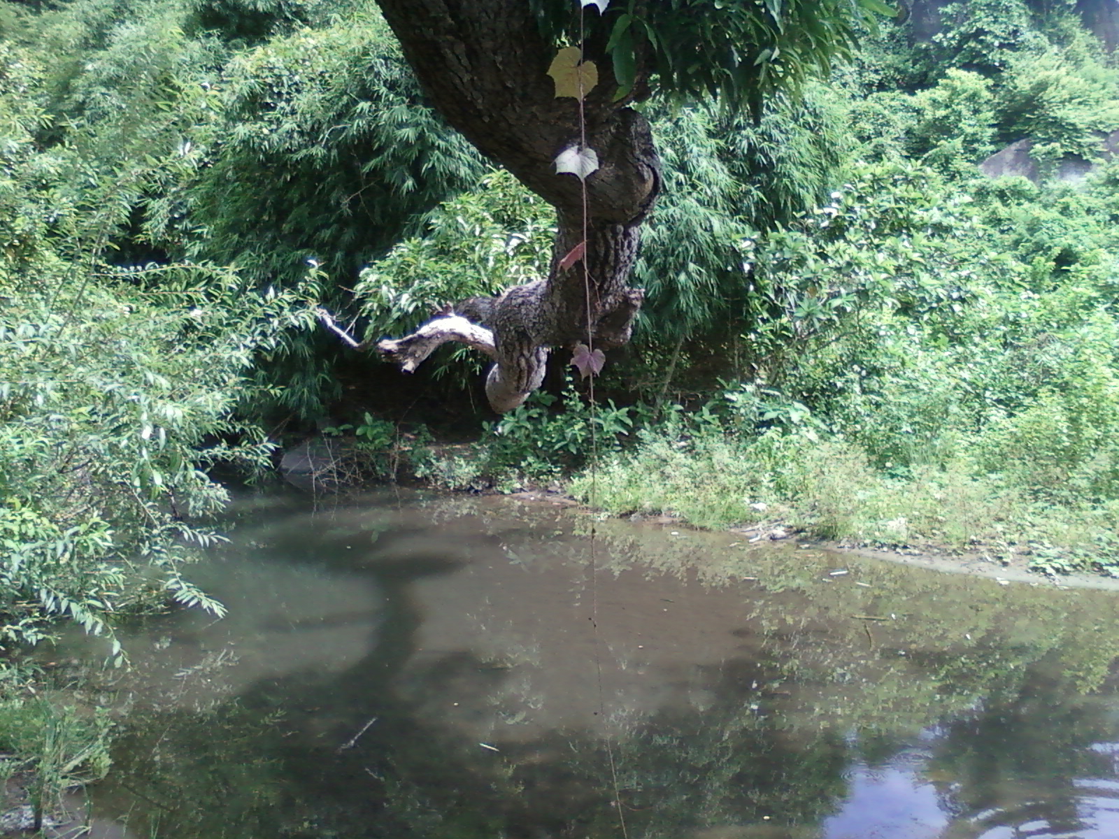 Vizianagaram photo 2