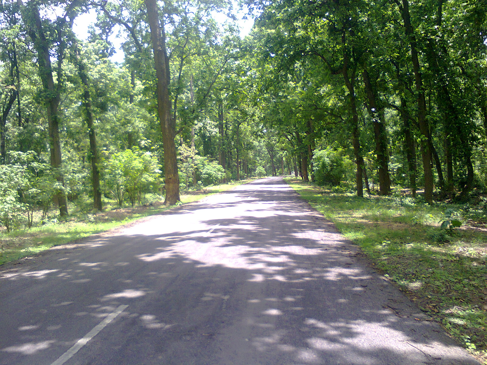 Nagari, Andhra Pradesh
