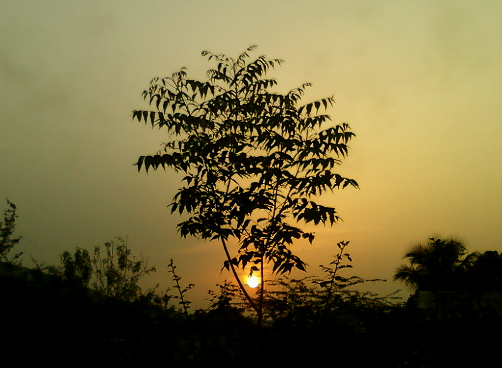 Srikakulam, Andhra Pradesh