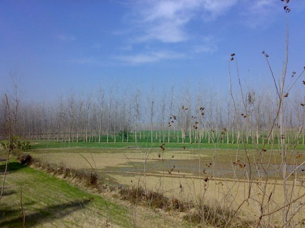 Nawanshahr, Punjab