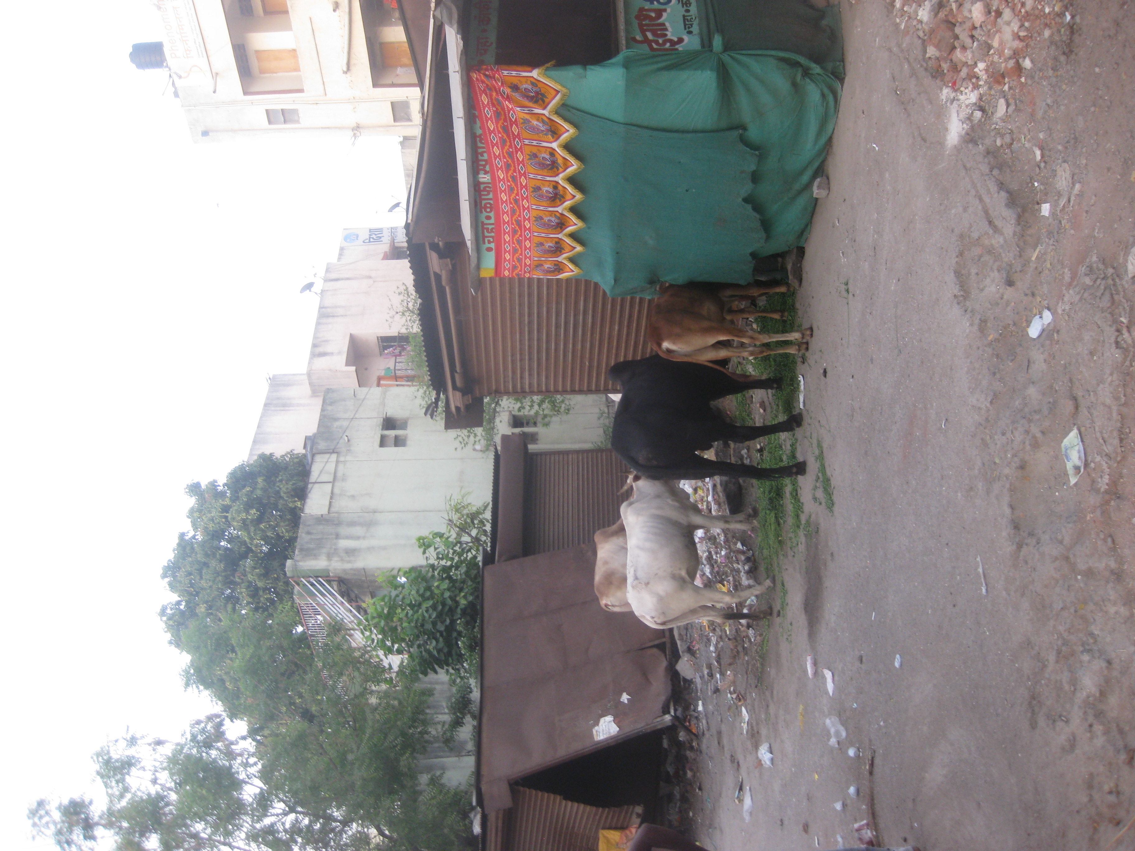 Sangamner, Maharashtra