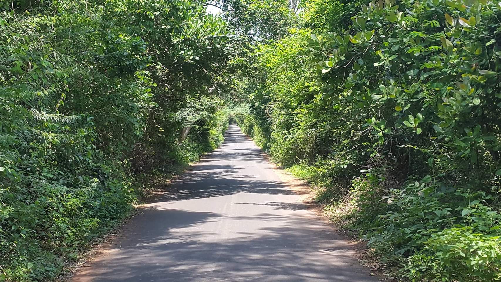 Rajamahendravaram, Andhra Pradesh