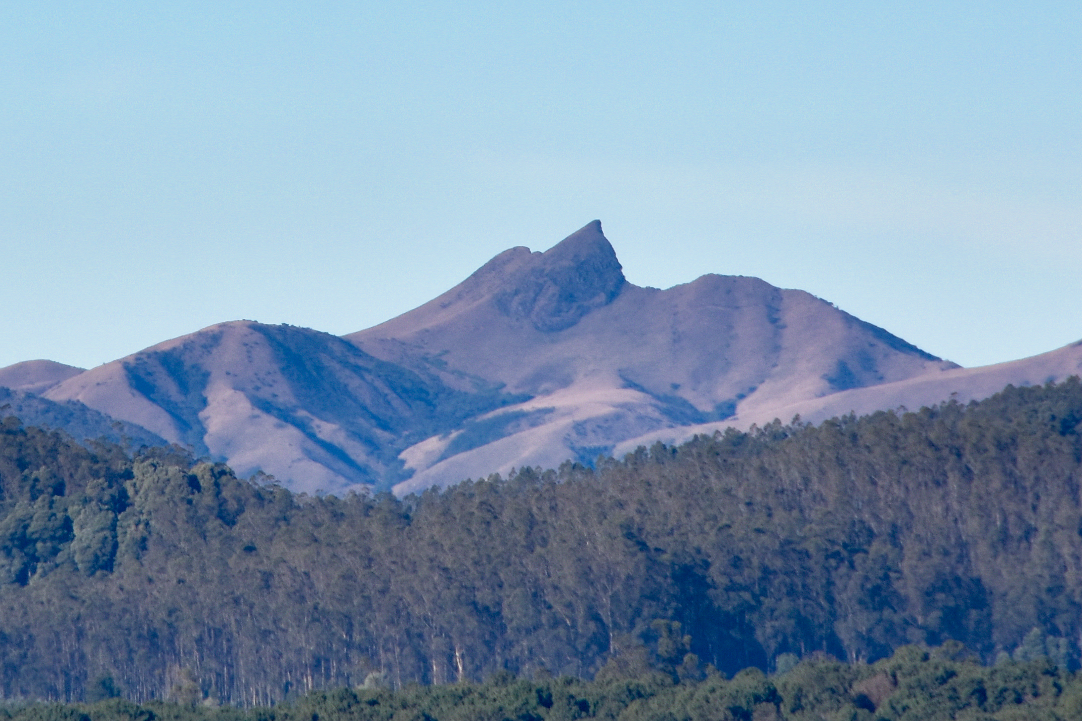 Mukurti Peak, Tamil Nadu