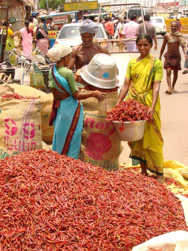 Tiruchirappalli, Tamil Nadu