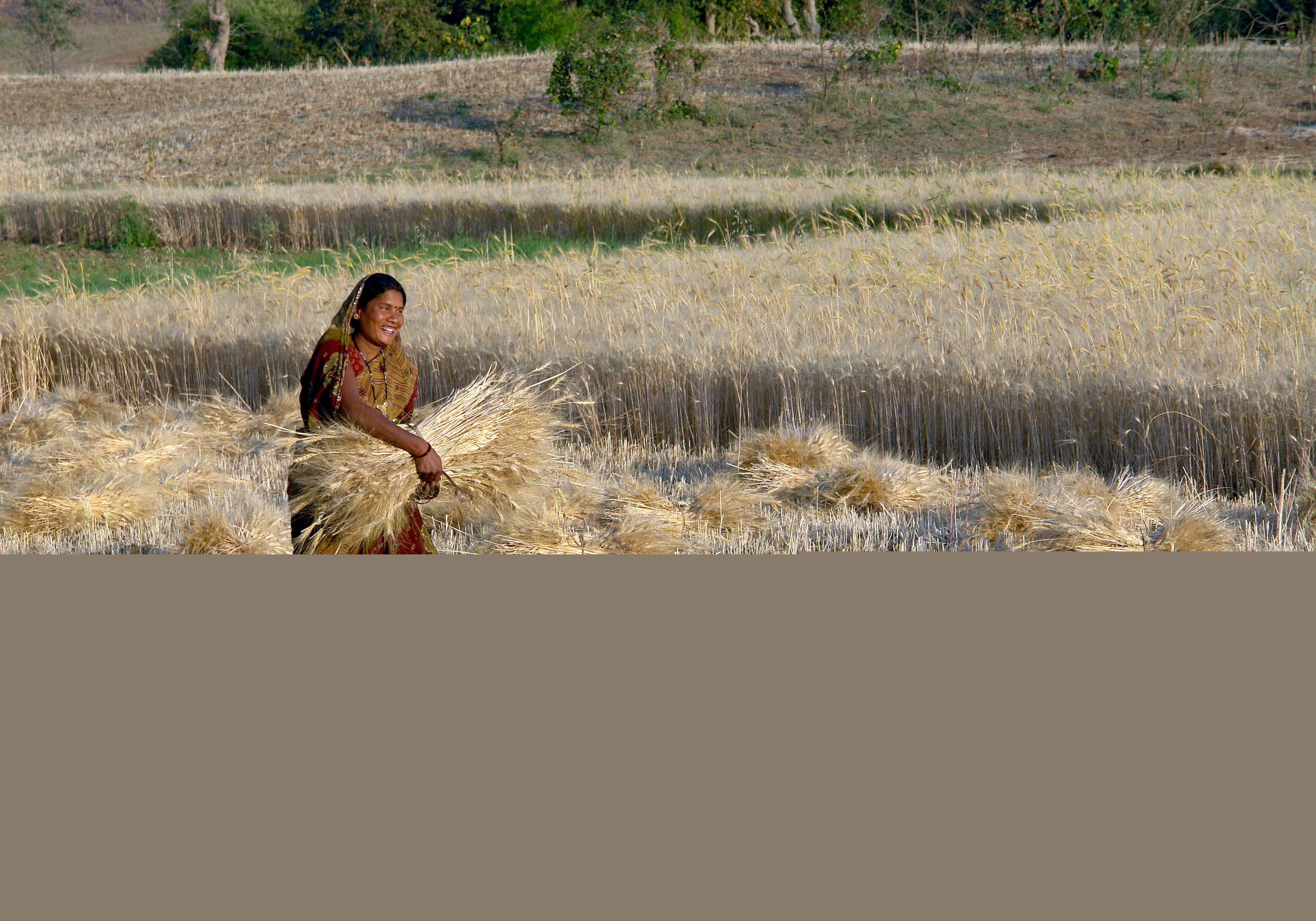 Raisen, Madhya Pradesh