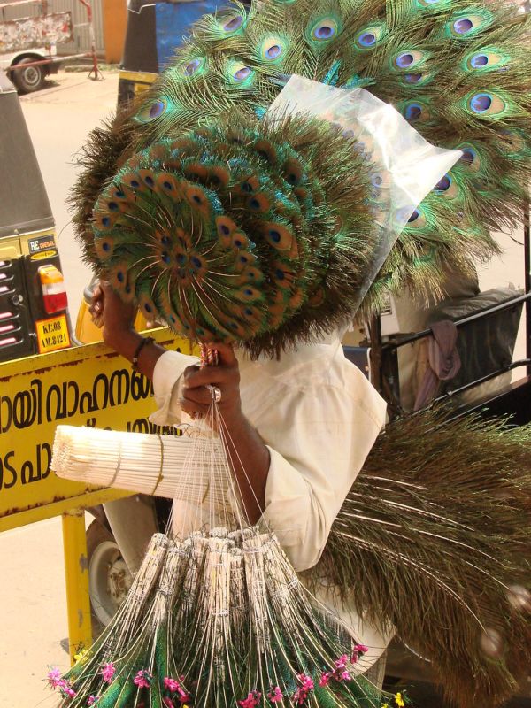 Thrissur, Kerala