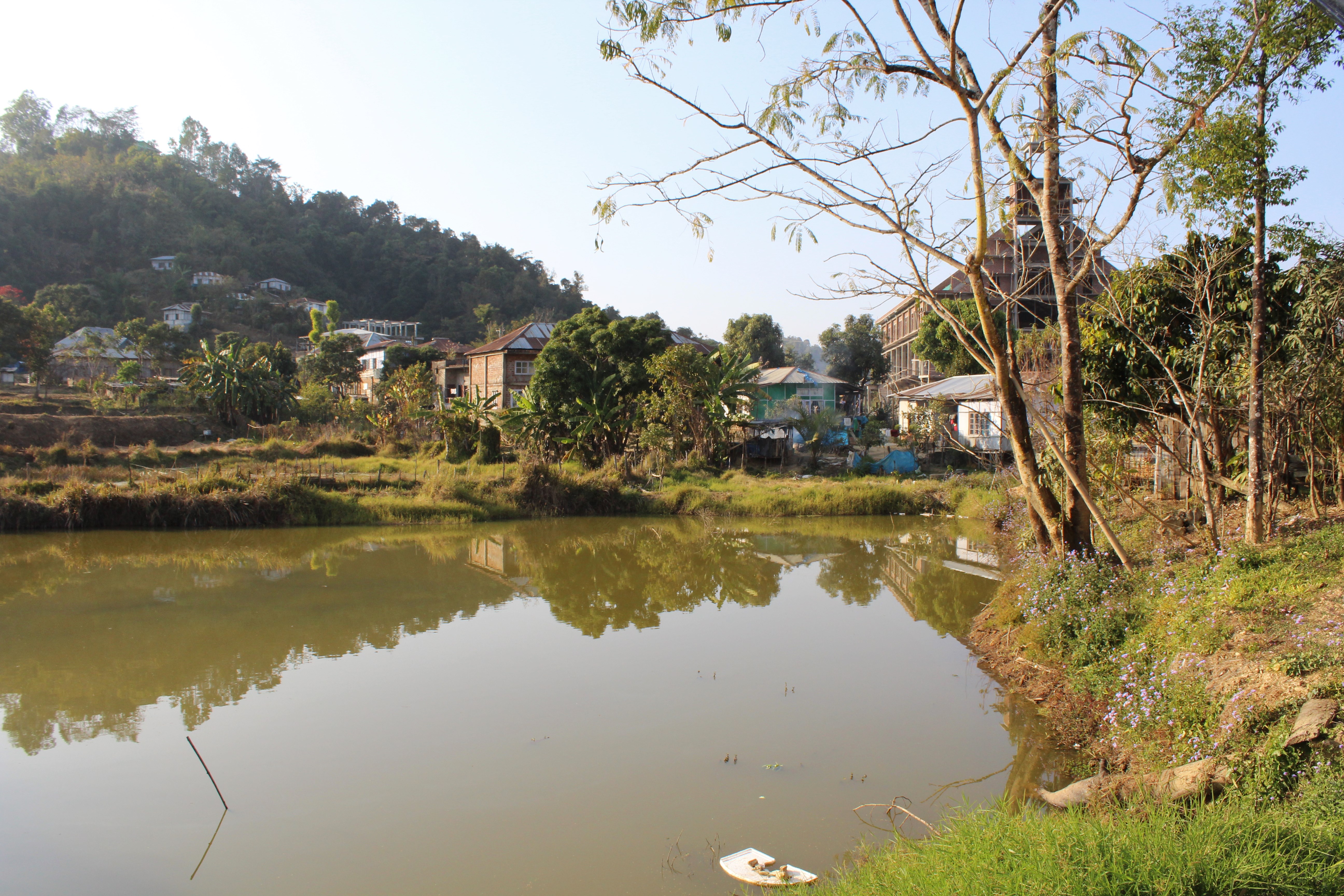 Thenzawl, Mizoram