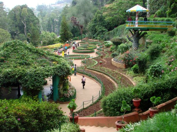 Ooty, Tamil Nadu