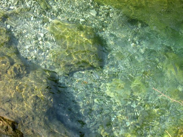Vertova photo 3