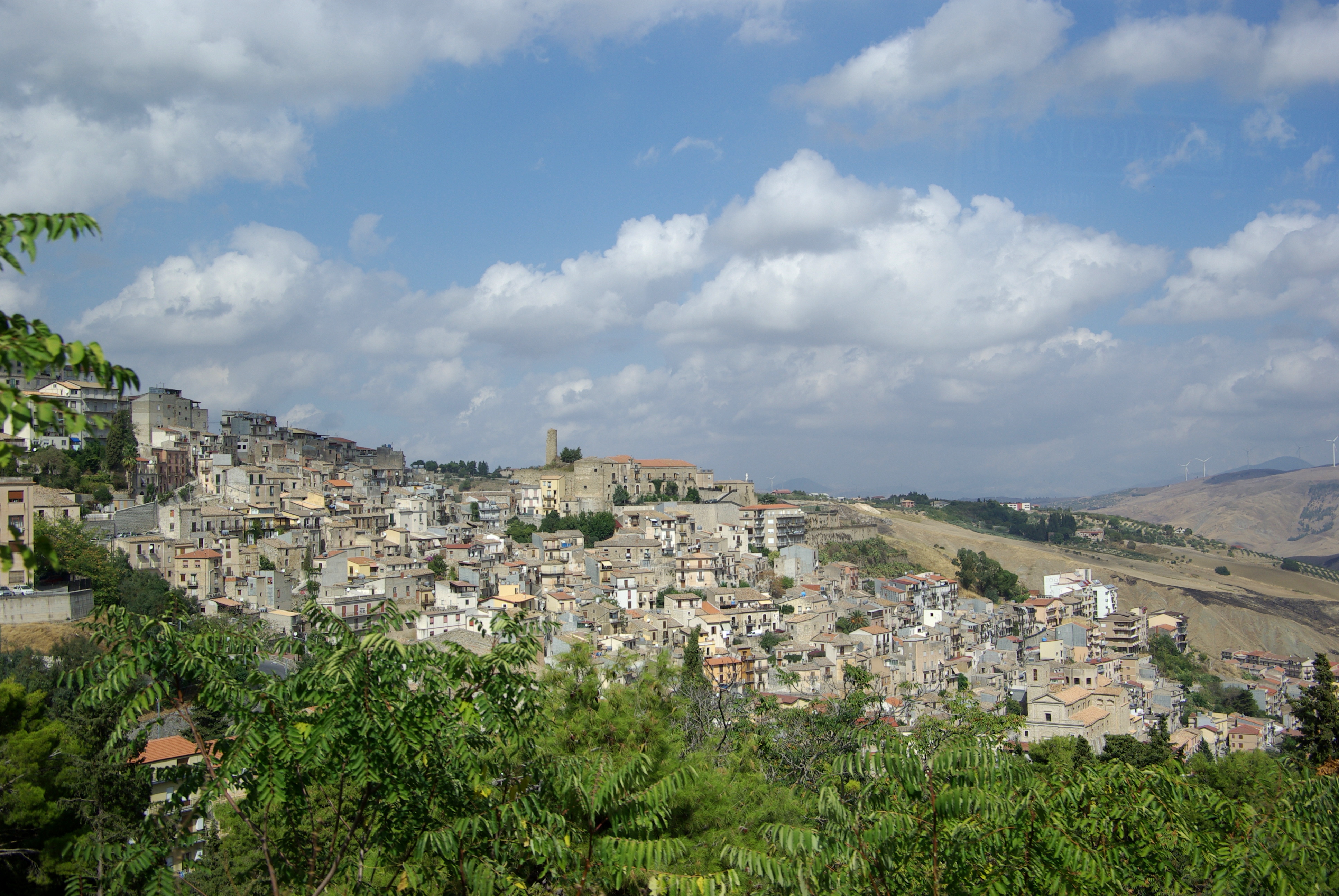 Cammarata photo 2