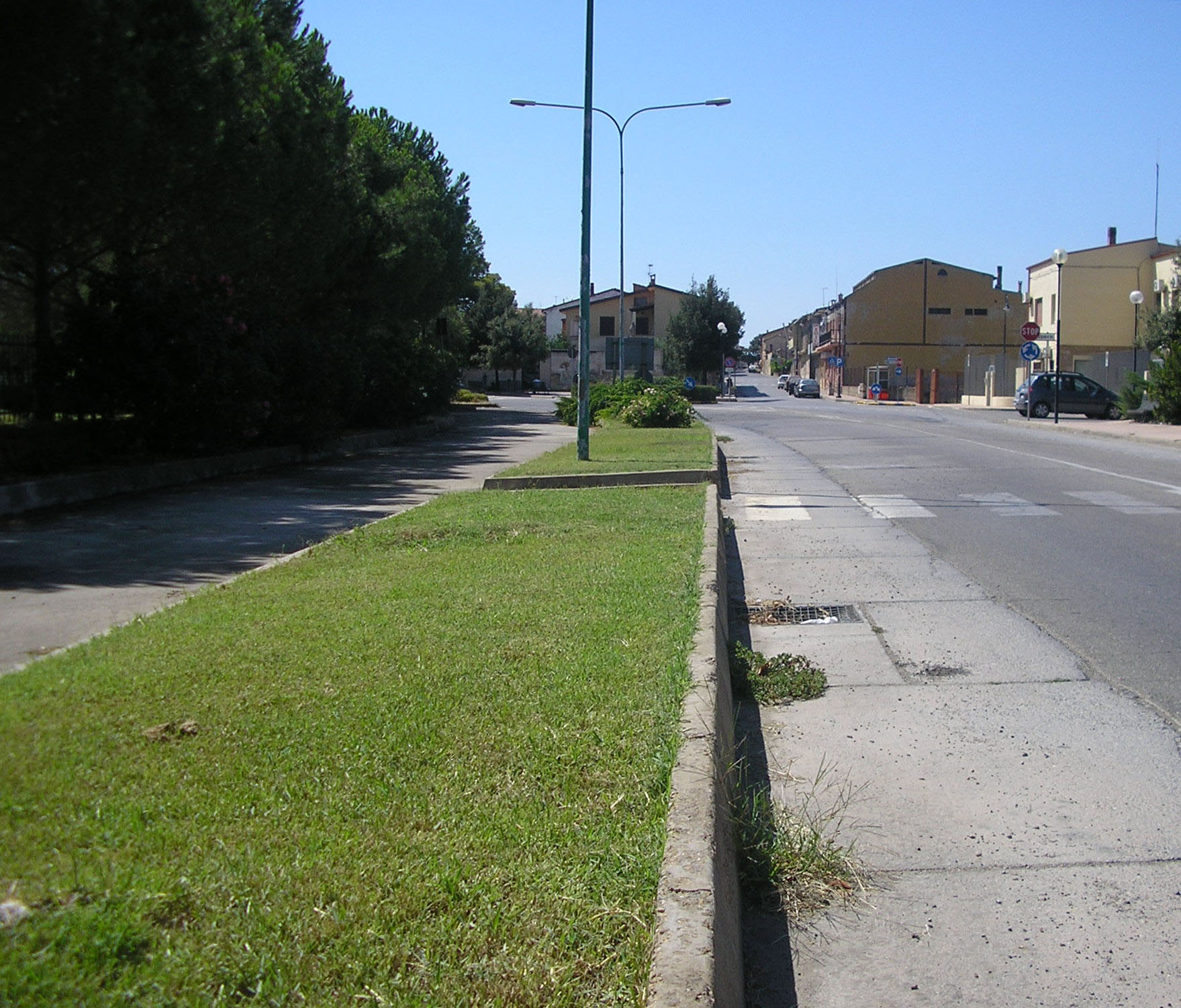 Siliqua photo 4