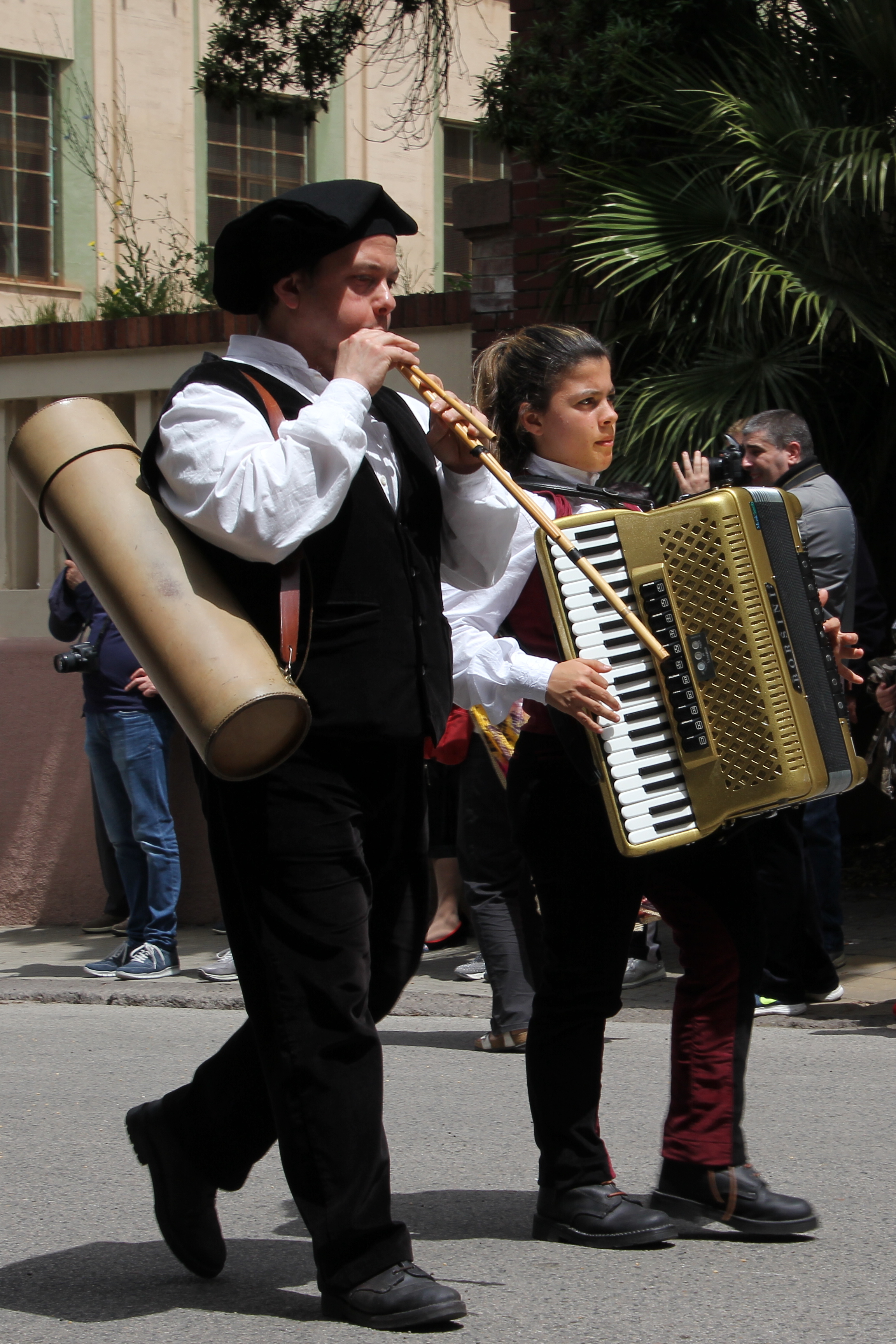 Maracalagonis photo 4