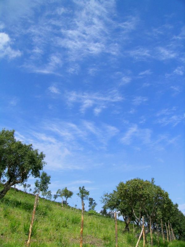 Lascari photo 4