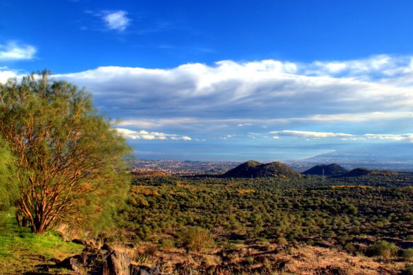 Pedara photo 3