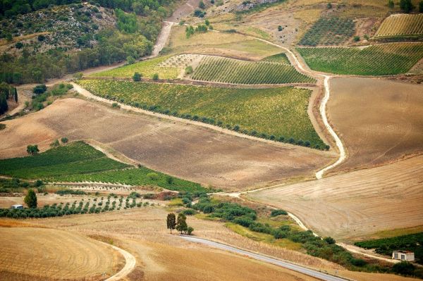 Sambuca di Sicilia, Sicily