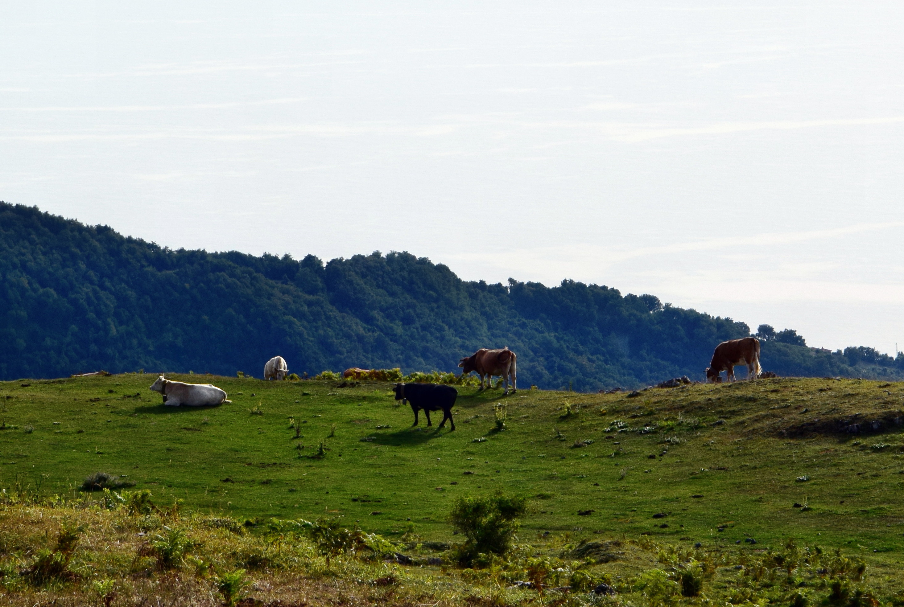 Monte Cocuzzo photo 3