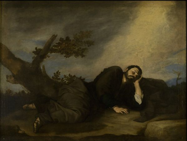 Ribera photo 4