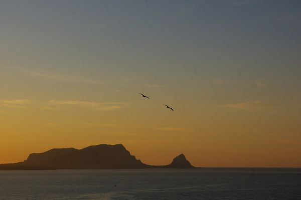 Trabia photo 2