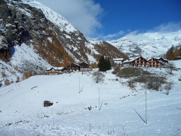 Rosa, Friuli Venezia Giulia