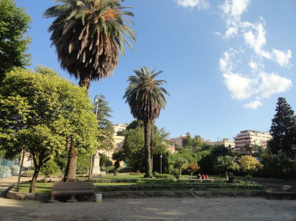 Trabia photo 4