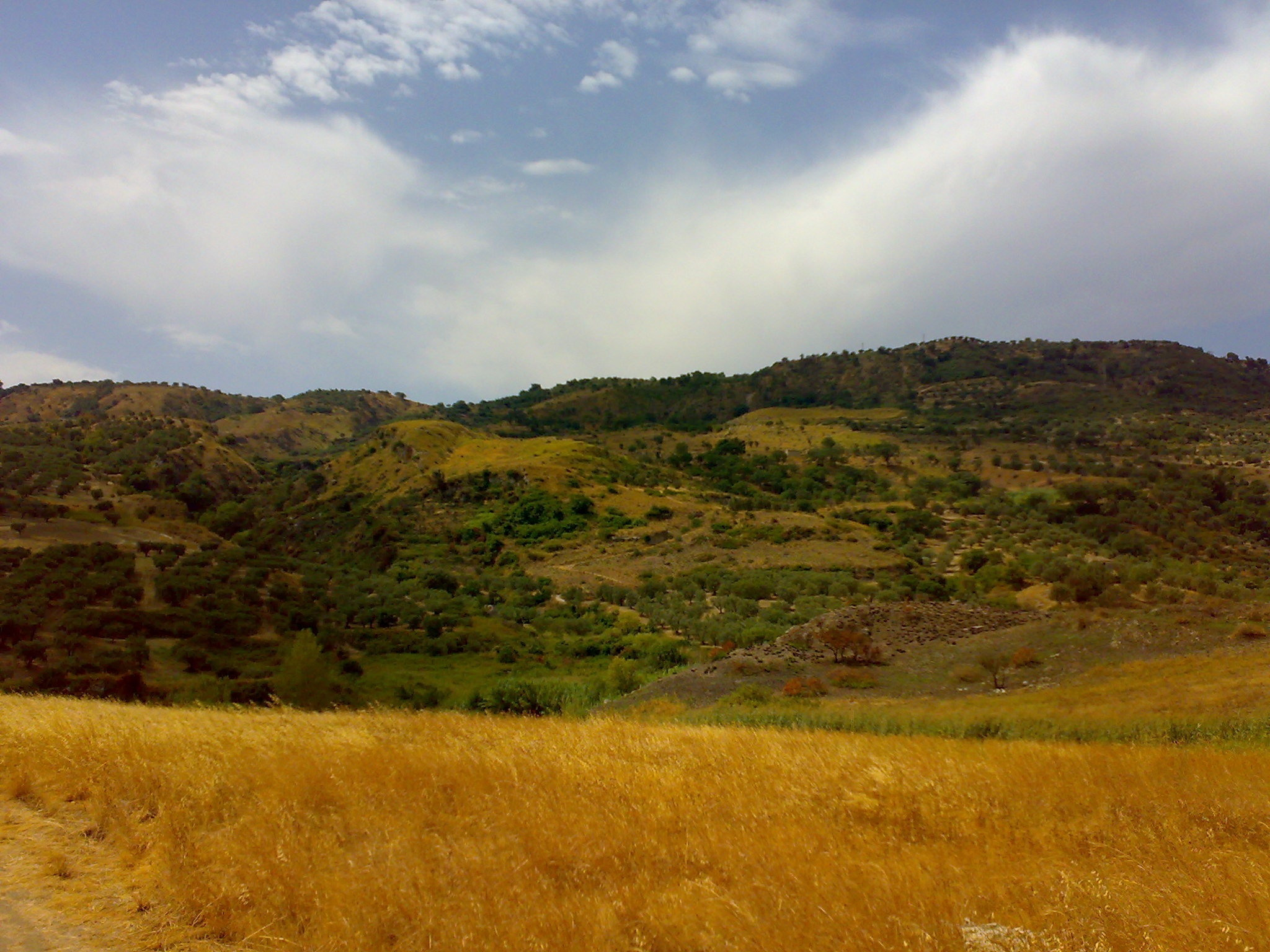 Catanzaro photo 3