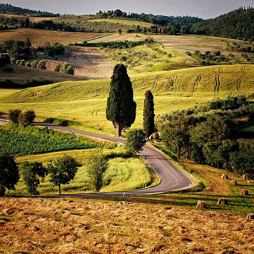 Vicopisano photo 3