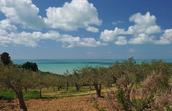 Sciacca photo 2