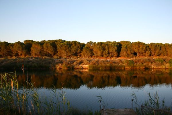 Tortolì photo 3