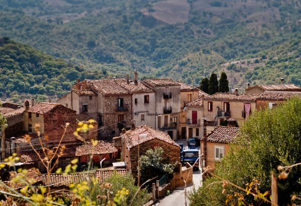 Gangi photo 2